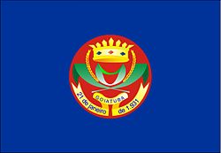 Bandeira de Goiatuba